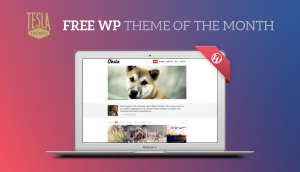 Get our Premium WordPress Theme for Free