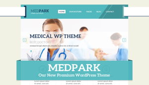 New Premium WordPress Theme Released – MedPark