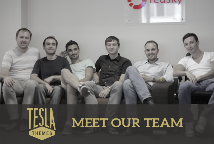 Interview: Meet the TeslaThemes Team