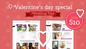 Valentine’s Day Special: Get our Wedding Theme for only $10